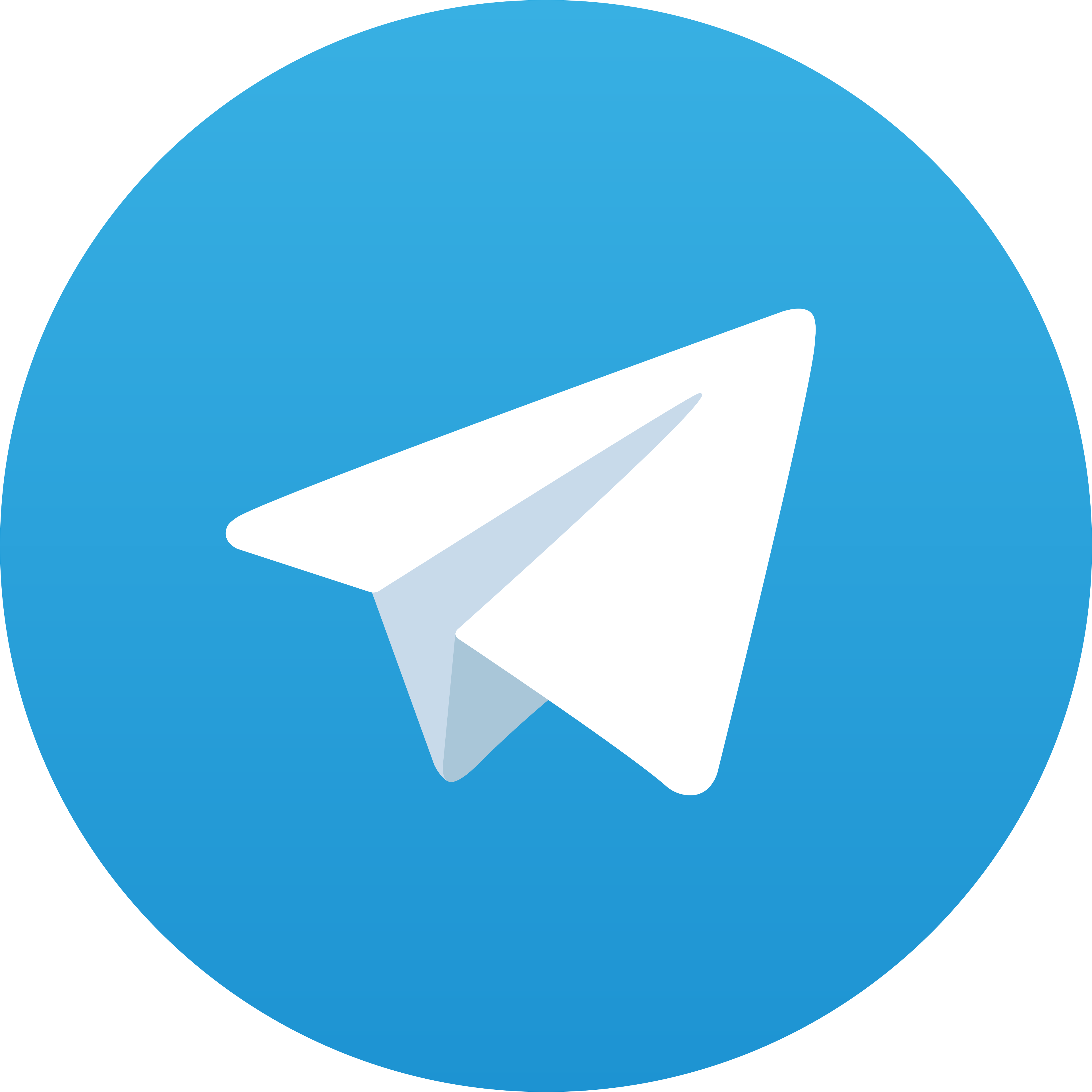 Telegram WBO303